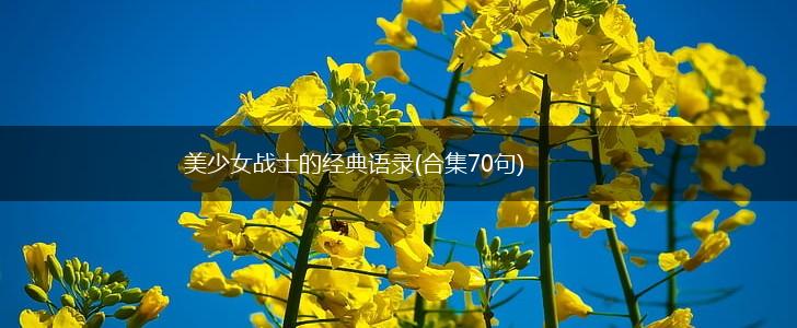 美少女战士的经典语录(合集70句),第1张