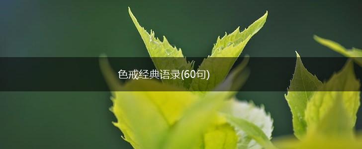 色戒经典语录(60句),第1张