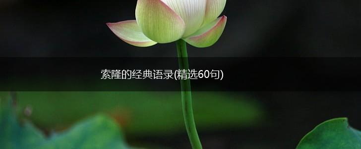 索隆的经典语录(精选60句),第1张