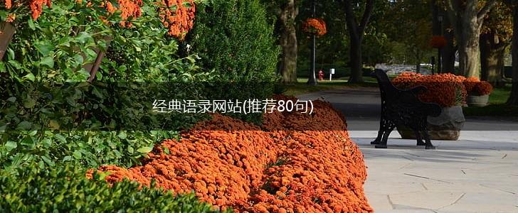 经典语录网站(推荐80句),第1张