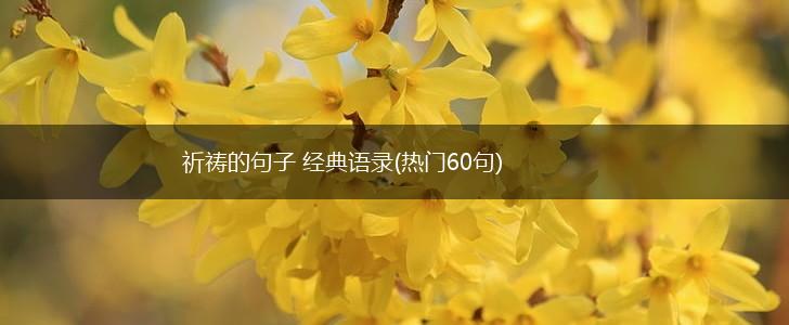 祈祷的句子 经典语录(热门60句),第1张