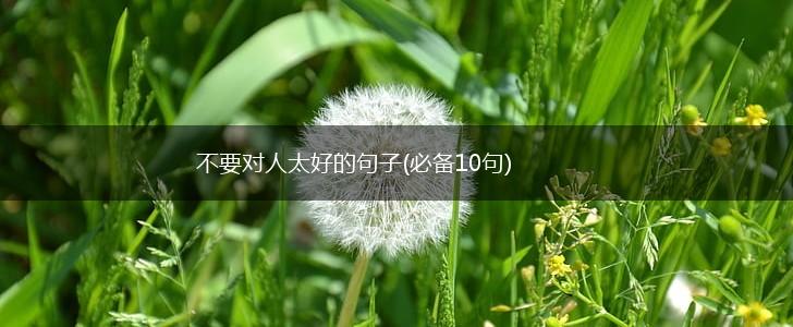 不要对人太好的句子(必备10句),第1张