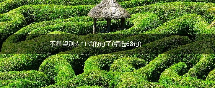不希望别人打扰的句子(精选68句),第1张