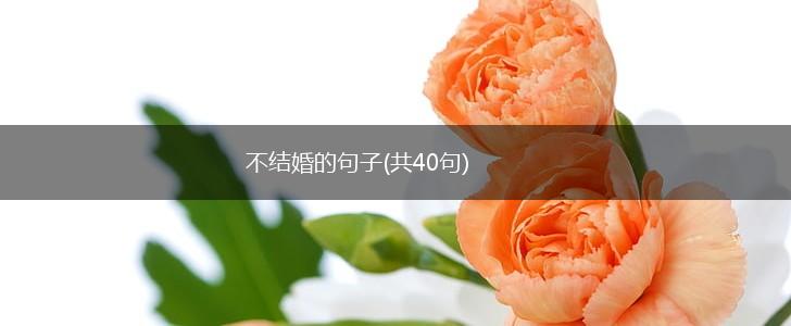 不结婚的句子(共40句),第1张