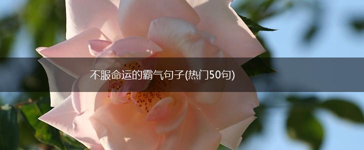 不服命运的霸气句子(热门50句),第1张
