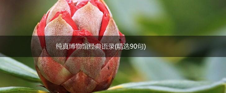 纯真博物馆经典语录(精选90句),第1张