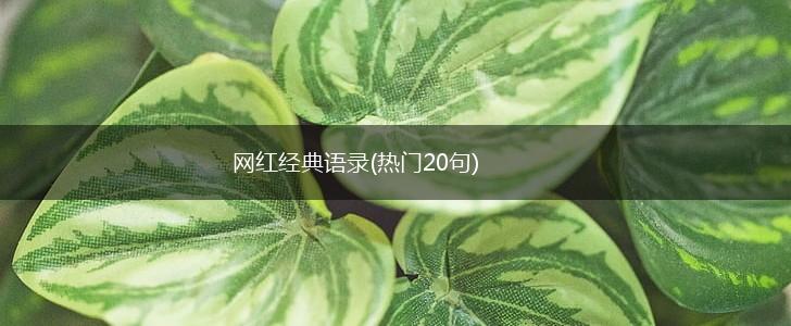 网红经典语录(热门20句),第1张