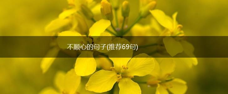 不顺心的句子(推荐69句),第1张