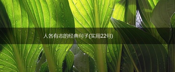 人各有志的经典句子(实用22句),第1张