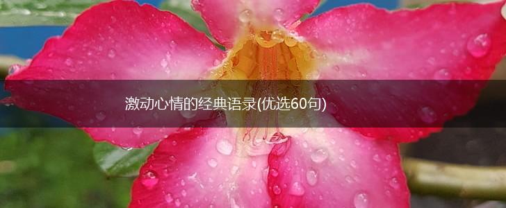 激动心情的经典语录(优选60句),第1张