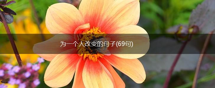 为一个人改变的句子(69句),第1张