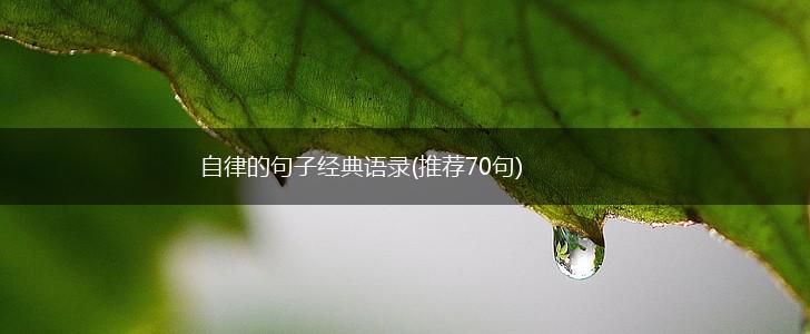 自律的句子经典语录(推荐70句),第1张