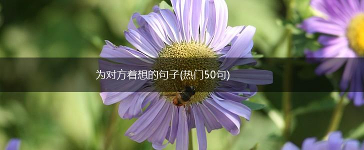 为对方着想的句子(热门50句),第1张