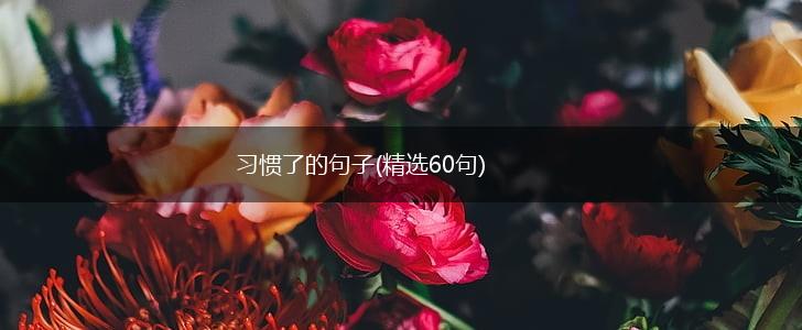 习惯了的句子(精选60句),第1张