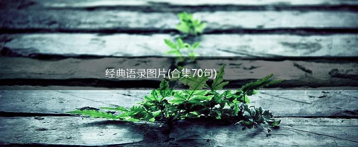 经典语录图片(合集70句),第1张