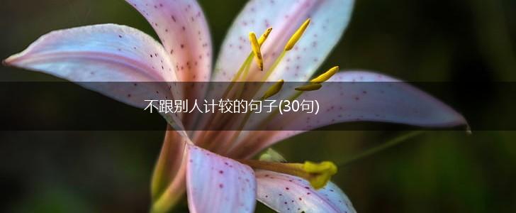 不跟别人计较的句子(30句),第1张
