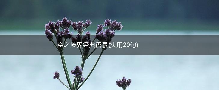 空之境界经典语录(实用20句),第1张