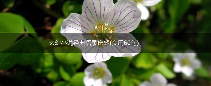 玄幻小说经典语录伤感(实用60句),第1张