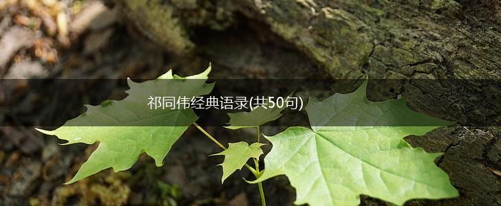 祁同伟经典语录(共50句),第1张