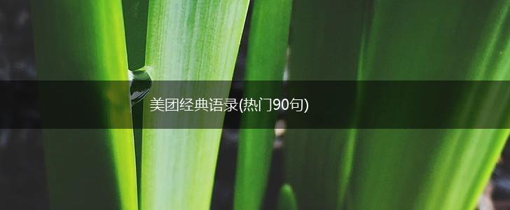 美团经典语录(热门90句),第1张
