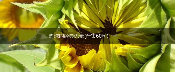 篮球的经典语录(合集60句),第1张