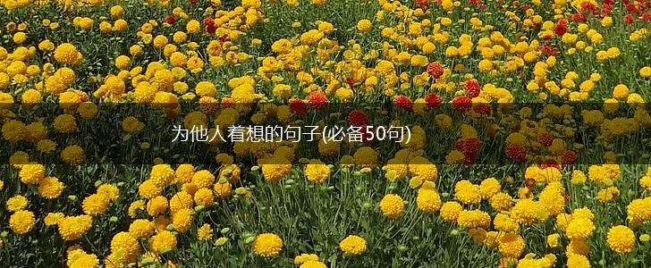 为他人着想的句子(必备50句),第1张