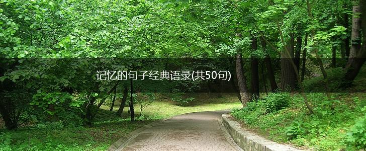 记忆的句子经典语录(共50句),第1张