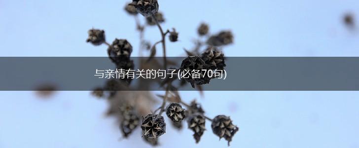 与亲情有关的句子(必备70句),第1张