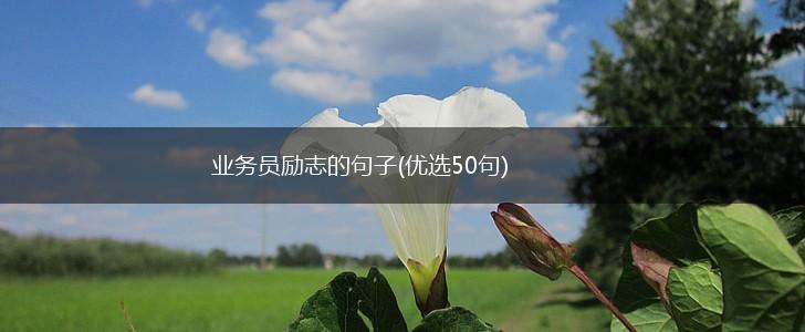 业务员励志的句子(优选50句),第1张