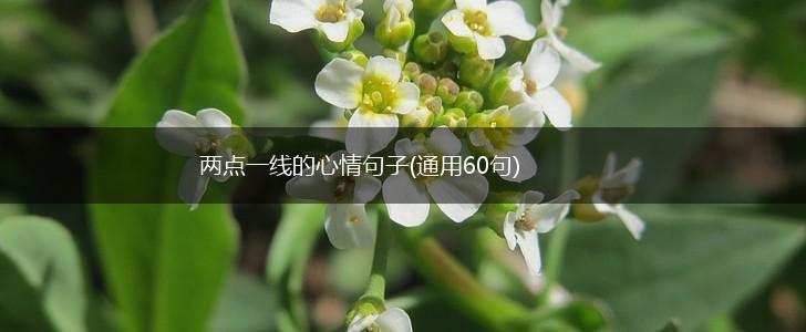 两点一线的心情句子(通用60句),第1张