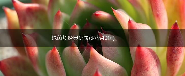 绿茵场经典语录(必备40句),第1张