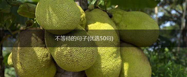 不等待的句子(优选50句),第1张