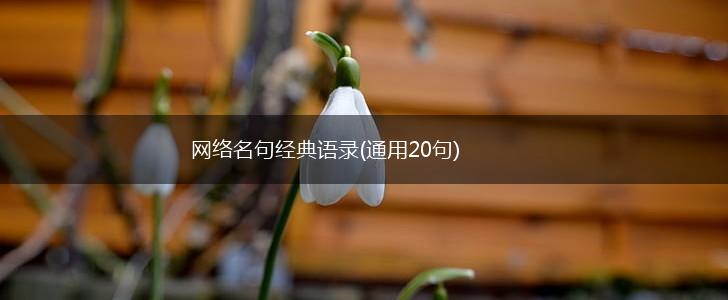 网络名句经典语录(通用20句),第1张