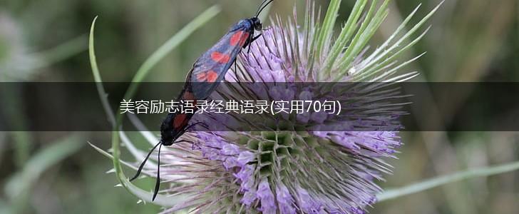 美容励志语录经典语录(实用70句),第1张