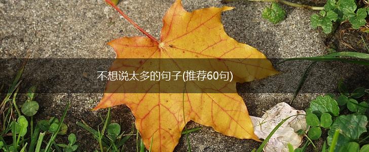 不想说太多的句子(推荐60句),第1张