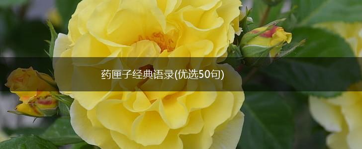 药匣子经典语录(优选50句),第1张