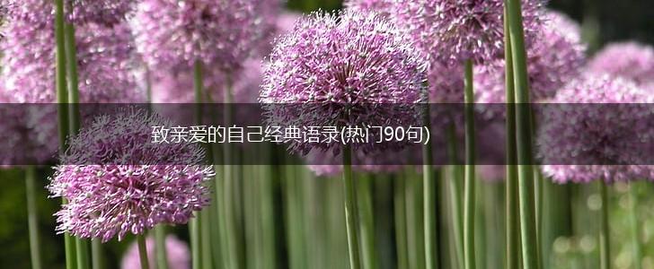 致亲爱的自己经典语录(热门90句),第1张