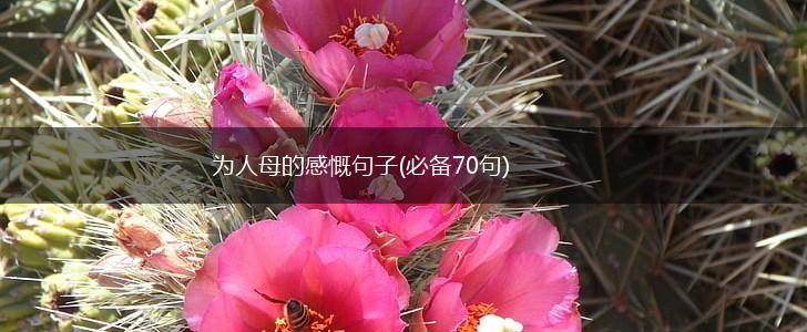 为人母的感慨句子(必备70句),第1张