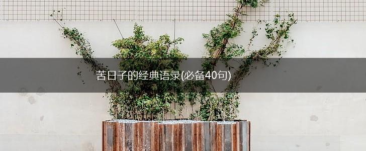 苦日子的经典语录(必备40句),第1张 苦日子的经典语录(必备40句),第1张