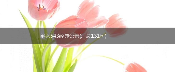 绝密543经典语录(汇总131句),第1张