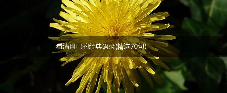 看清自己的经典语录(精选70句),第1张