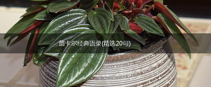 笛卡尔经典语录(精选20句),第1张