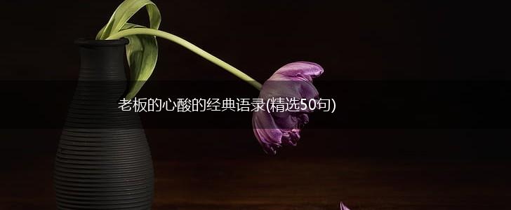 老板的心酸的经典语录(精选50句),第1张