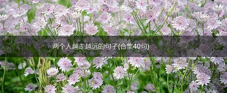 两个人越走越远的句子(合集40句),第1张