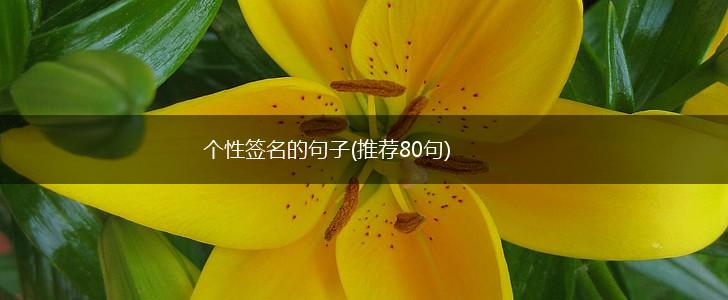 个性签名的句子(推荐80句),第1张