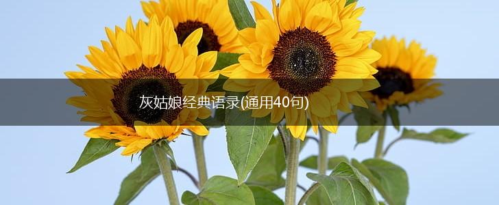 灰姑娘经典语录(通用40句),第1张