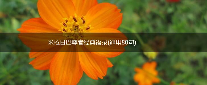 米拉日巴尊者经典语录(通用80句),第1张