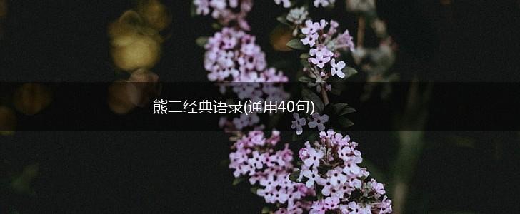 熊二经典语录(通用40句),第1张