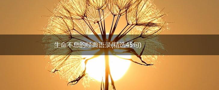 生命不息的经典语录(精选45句),第1张
