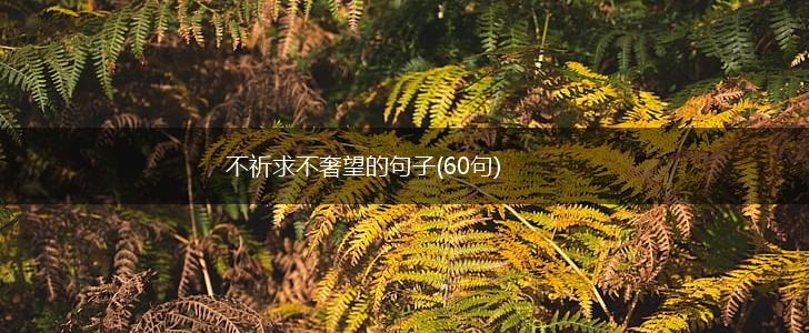 不祈求不奢望的句子(60句),第1张